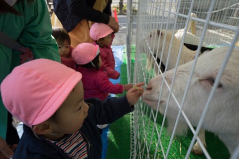 移動動物園